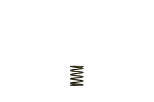 Turbosmart turTS-0550-3081