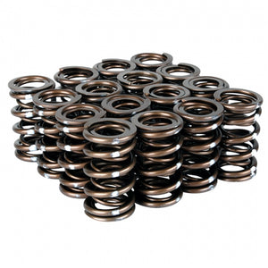 Skunk2 Racing skk311-05-7350