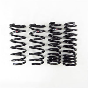RS-R rsrT995D