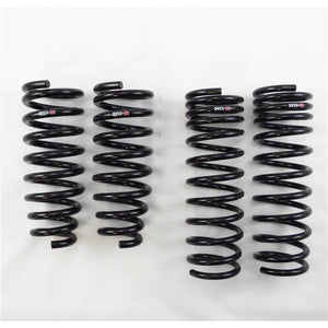 RS-R rsrH650W