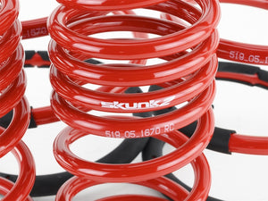 Skunk2 Racing skk519-05-1670 - Image 9