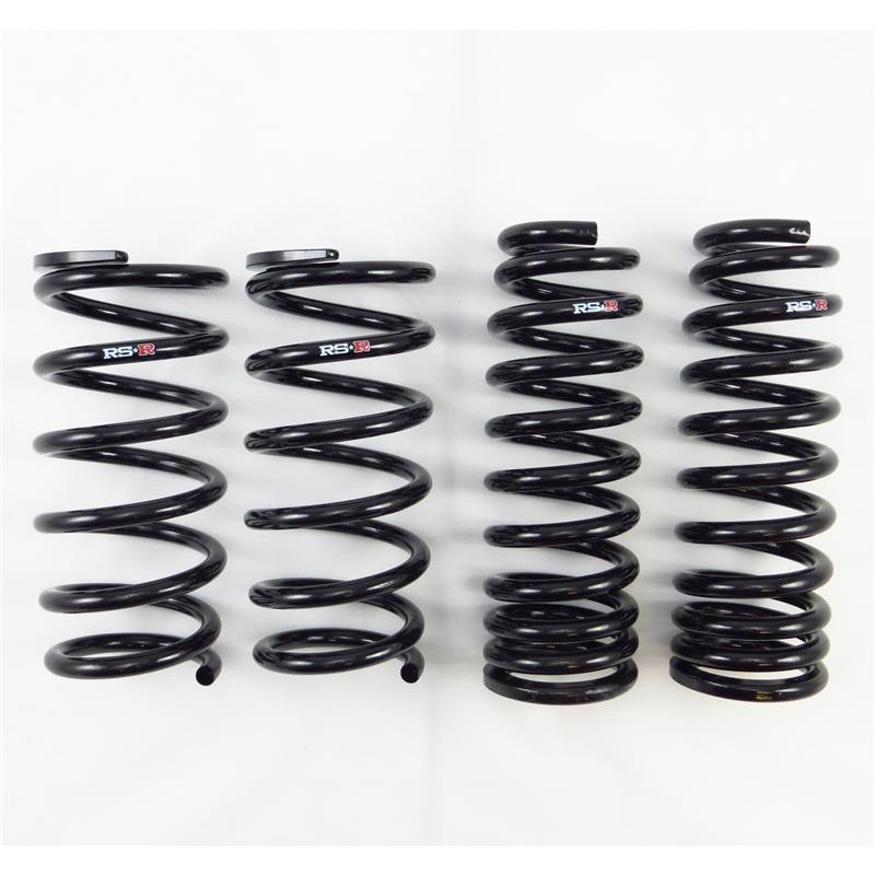 RS-R rsrT195D