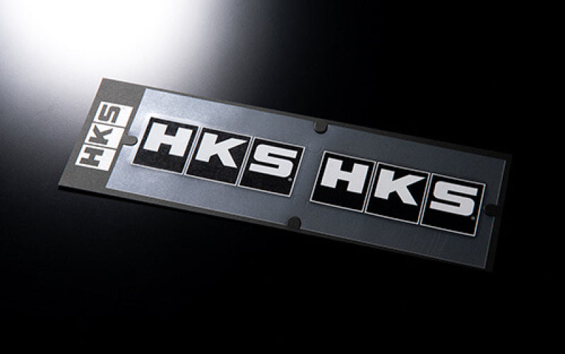 HKS hks51003-AK131