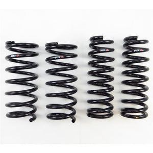 RS-R rsrT195HD