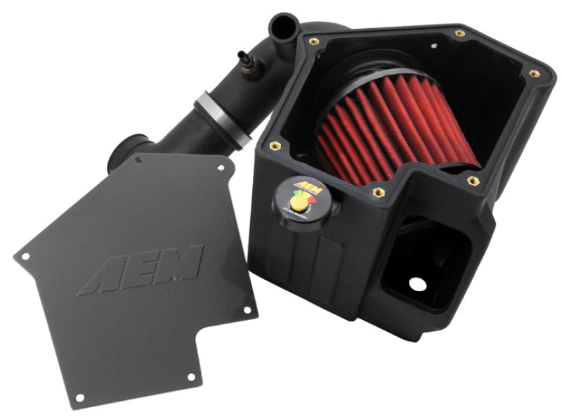 AEM Induction aem21-698C - Image 2