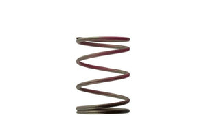 Turbosmart turTS-0505-2006