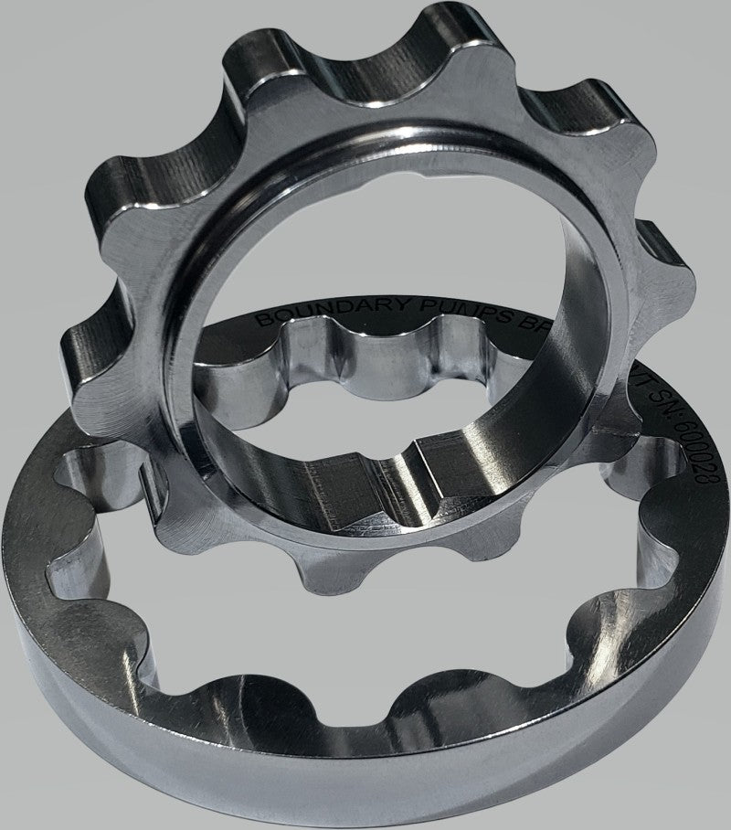 Boundary bouBP-OPG-VVT